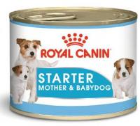 Royal Canin Starter Mother & Babydog в зоомагазине Лепшы Сябар