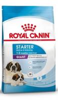 Royal Canin Giant Starter в зоомагазине Лепшы Сябар