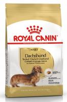 Royal Canin Dachshund Adult в зоомагазине Лепшы Сябар