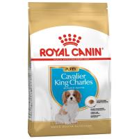 Royal Canin Cavaler King Charles Puppy в зоомагазине Лепшы Сябар