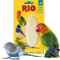 RIO Кость сепии, М в зоомагазине Лепшы Сябар